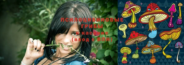 винт Армянск